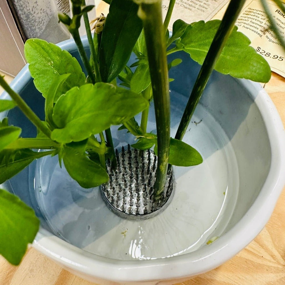 Frog Spike in Japanese Flower Arranging Bowl, Urban Revolution.