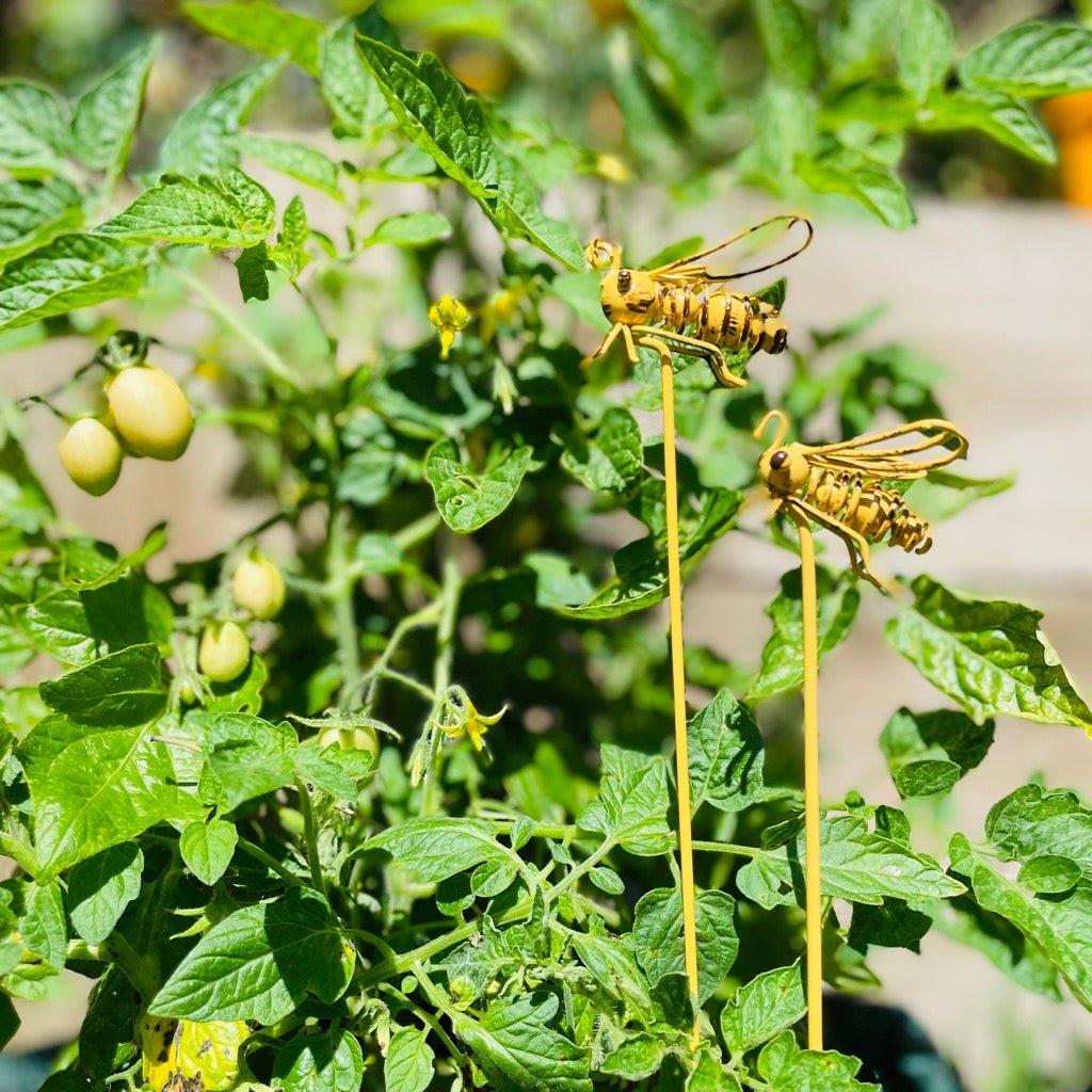 Small and Medium Wire Metal Bees on Metal Stakes with Tomato Plant