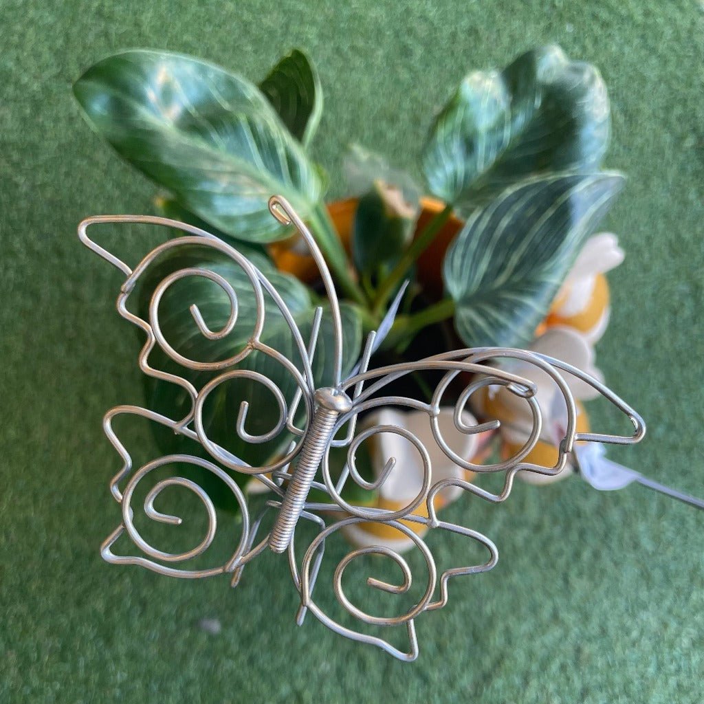 Decorative Metal Butterfly on Stick in Plant Pot, Alfresco Gardeware.