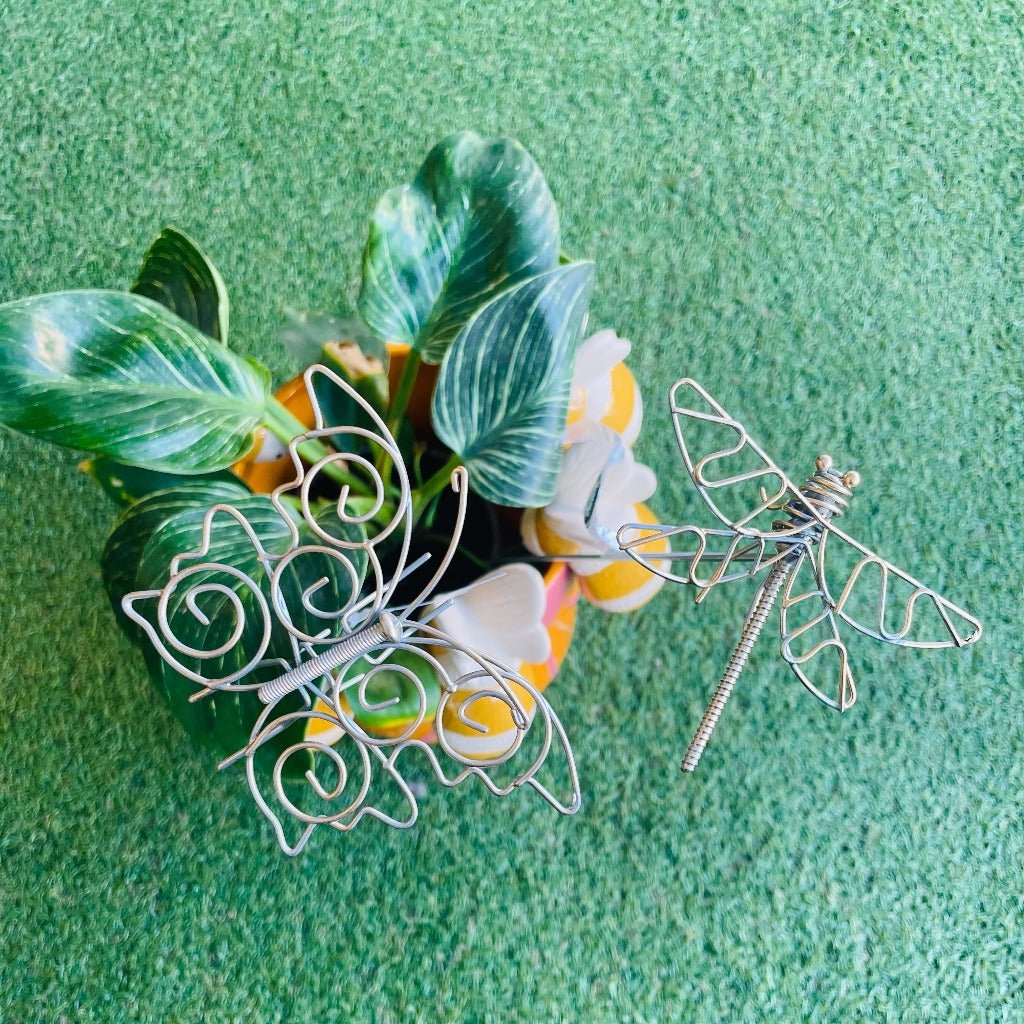 Decorative Metal Dragonfly or Butterfly on Stick in Plant Pot, Alfresco Gardeware.