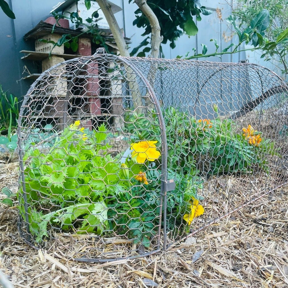 Wire Metal Cloche Garden Tunnel - End View