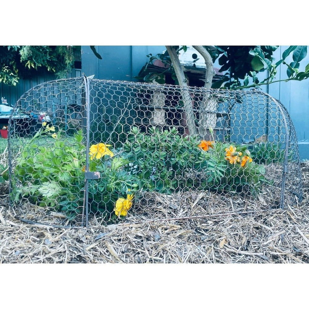 Wire Metal Cloche Garden Tunnel - Alfresco Gardenware