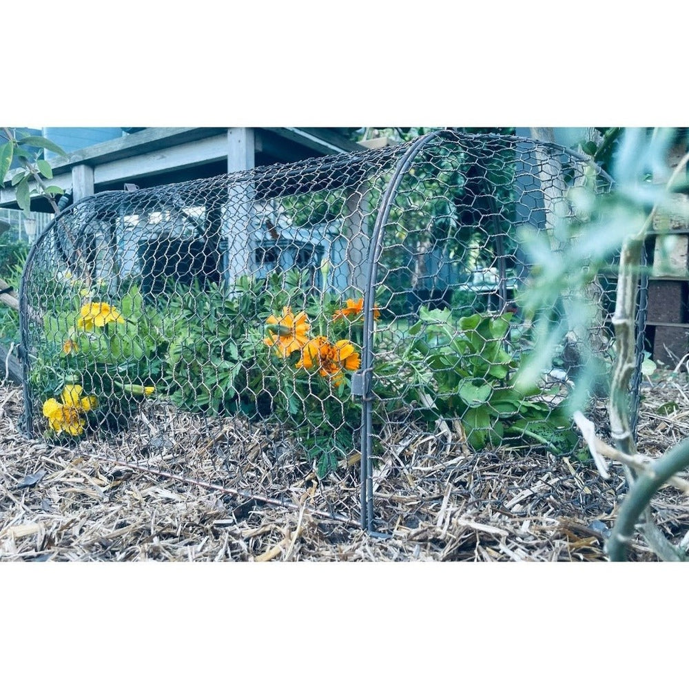 Wire Metal Cloche Garden Tunnel Protecting New Plants in Garden Bed