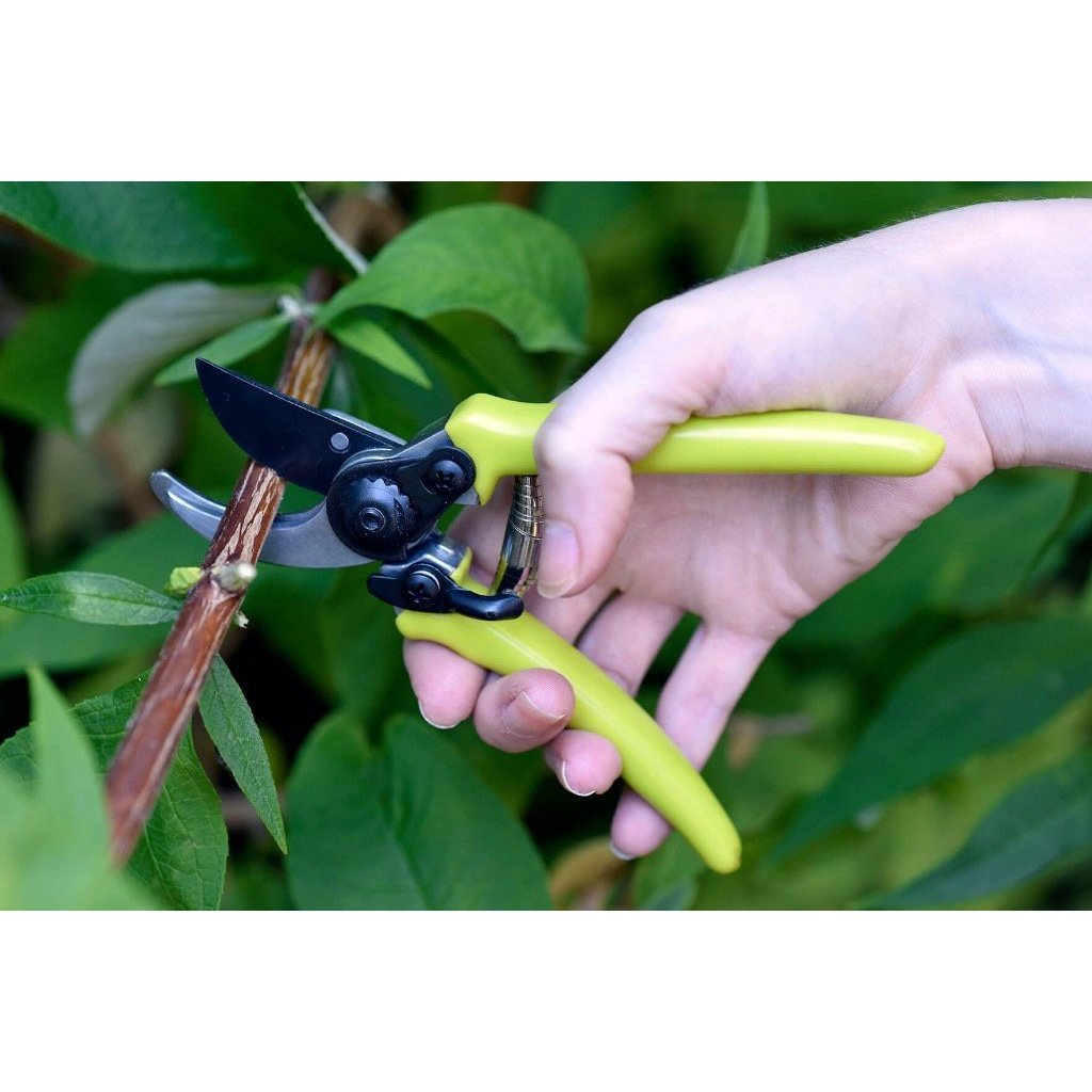 Micro Secateurs from Burgon &amp; Ball, In Use