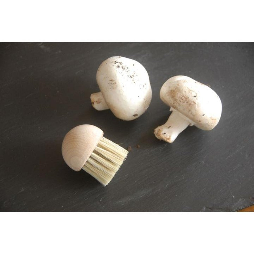 Mushroom Brush and Two Mushrooms