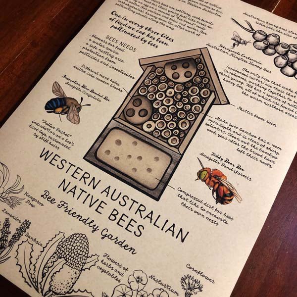A Poster by Sarah Davies - Native Bees of Western Australia