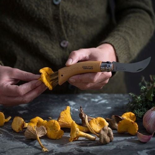 Mushroom Knife - Opinel No 8 Stainless Steel - Urban Revolution