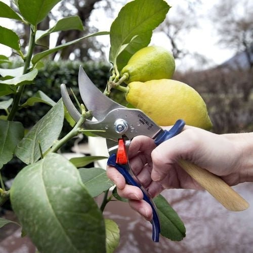 Hand Pruner Secateurs, from Opinel (Slate) - Urban Revolution