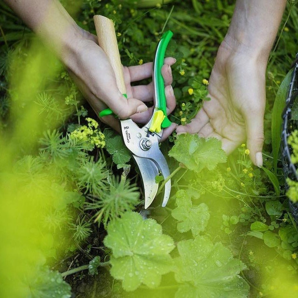 Hand Pruner Secateurs, from Opinel (Green/Meadow) - Urban Revolution