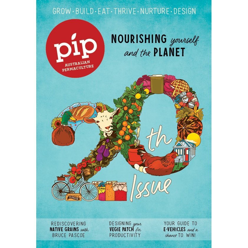 Pip Magazine Cover Issue 20