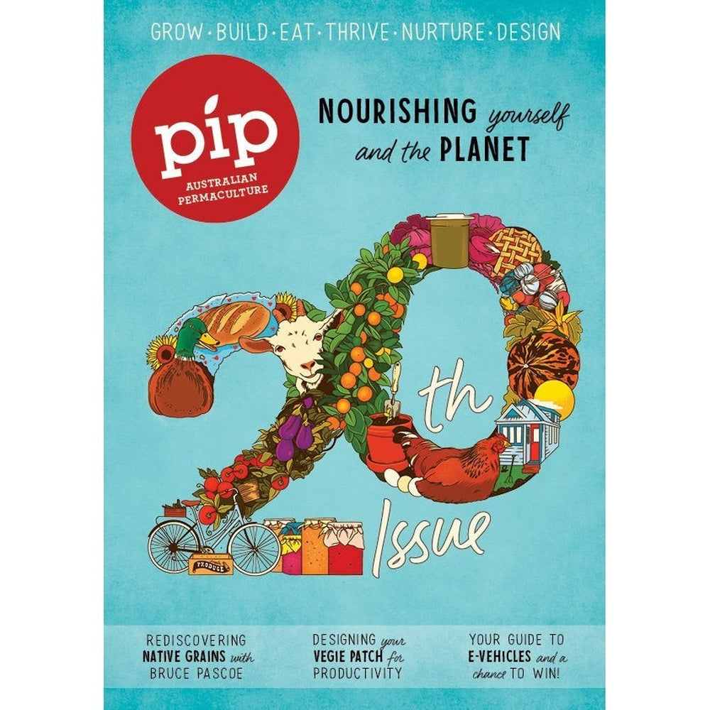 Pip Magazine Cover Issue 20