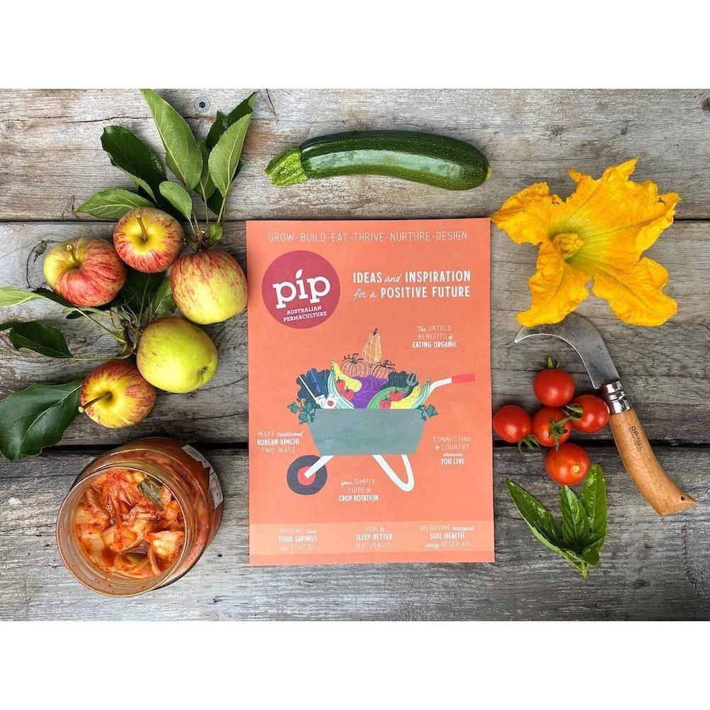 Pip Magazine - Issue 19 - The Positive Future Issue - Urban Revolution