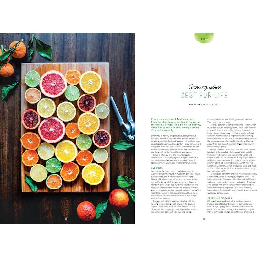 PIP Magazine Issue 20. Growing Citrus Article.