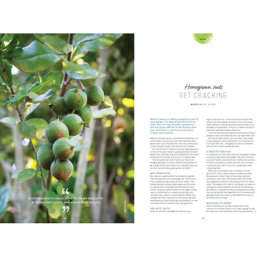 PIP Magazine Issue 20. Homegrown Nuts Article.