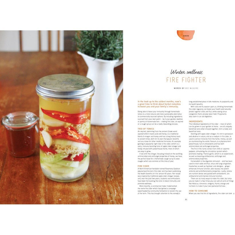 PIP Magazine Issue 20. Fire Cider Article.