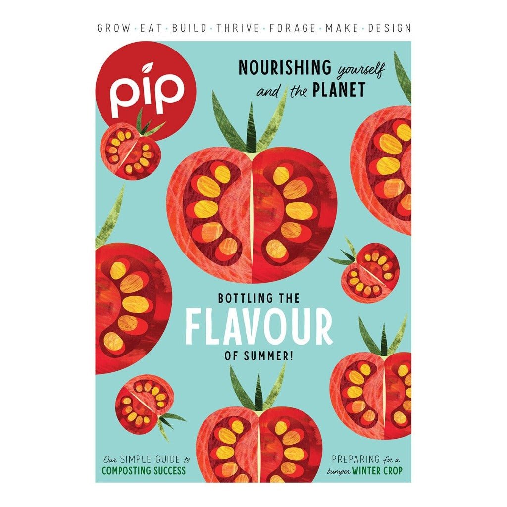 PIP Magazine Issue 27 - Front Cover