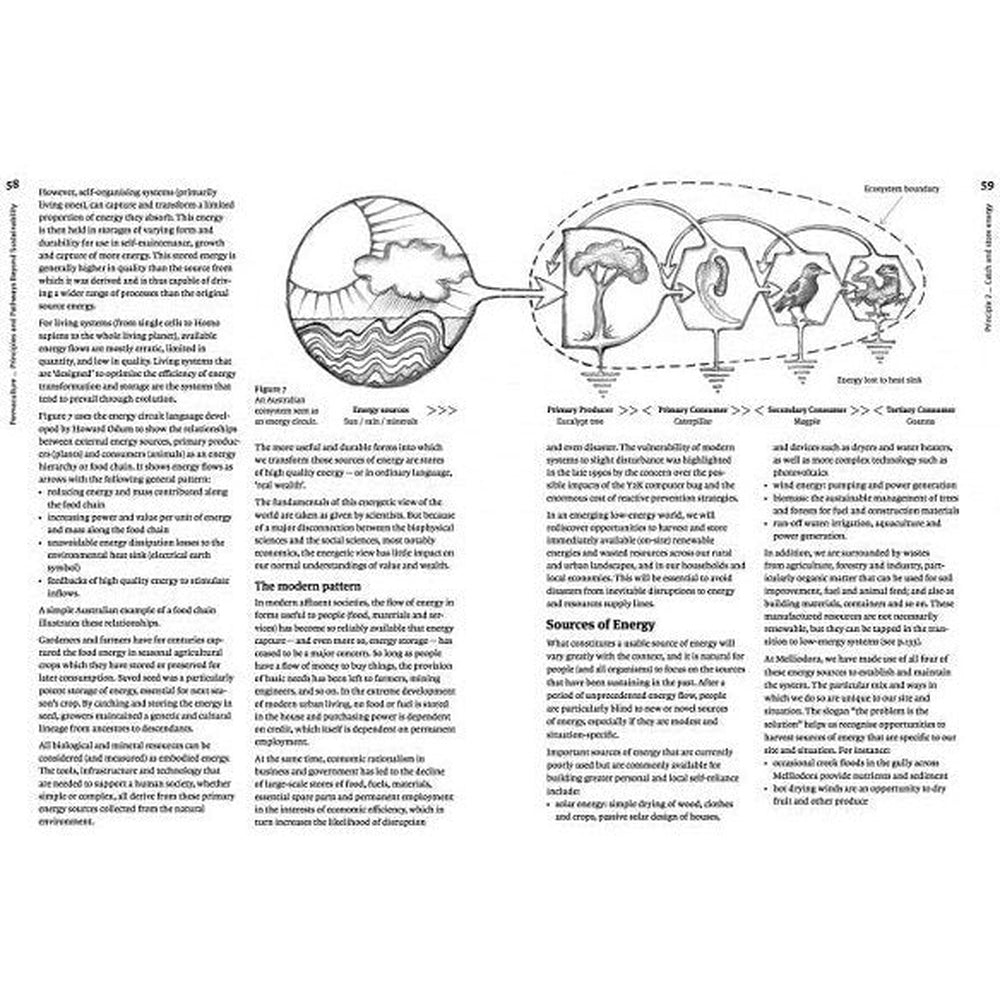 Permaculture: Principles and Pathways Beyond Sustainability (Revised)