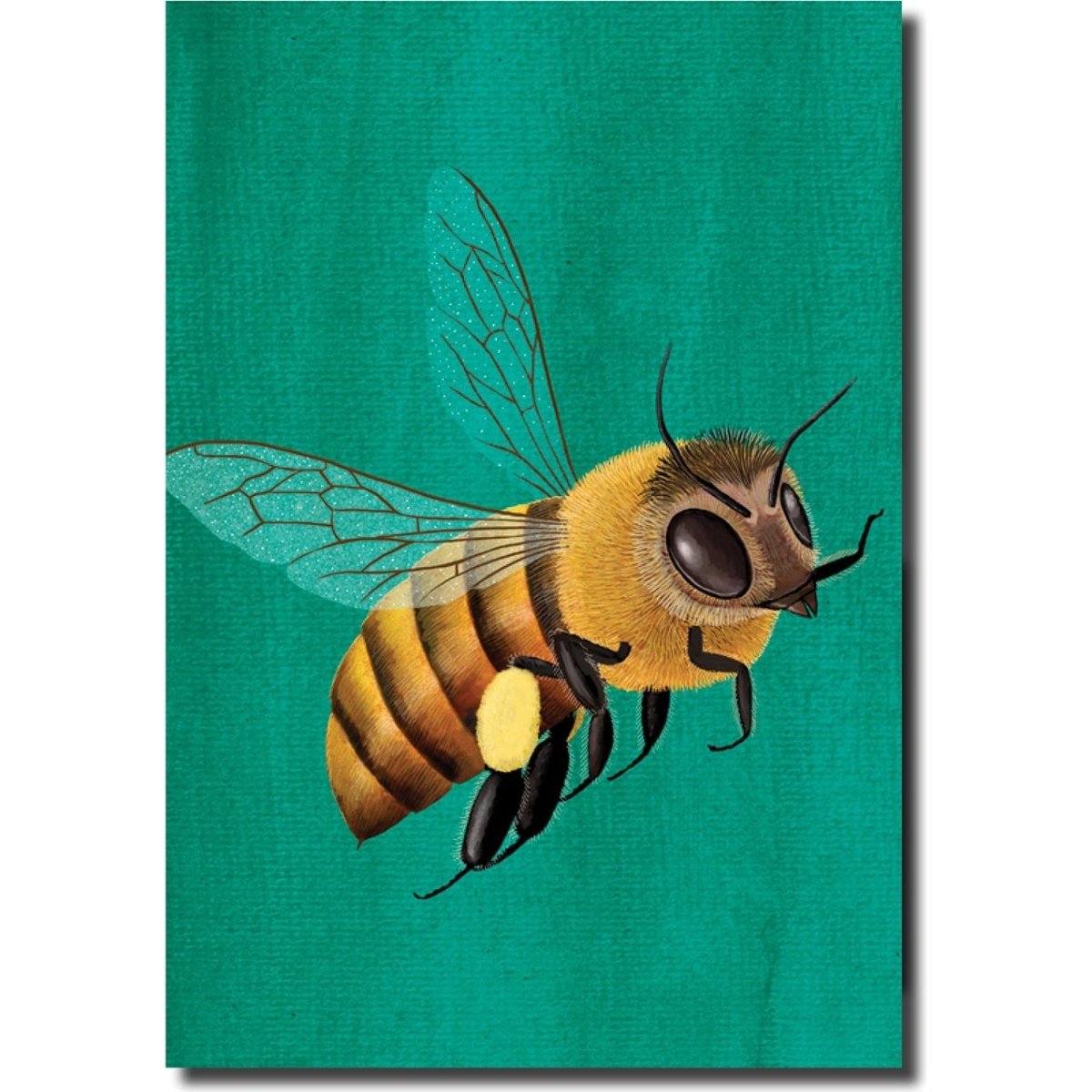 Pip Greeting Cards Bee