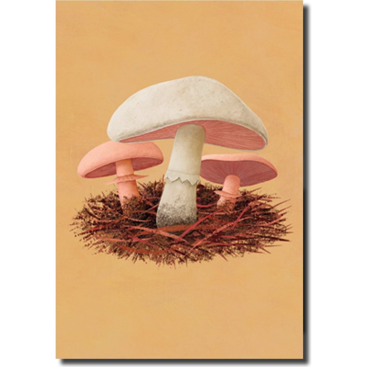 Pip Greeting Cards Mushrooms
