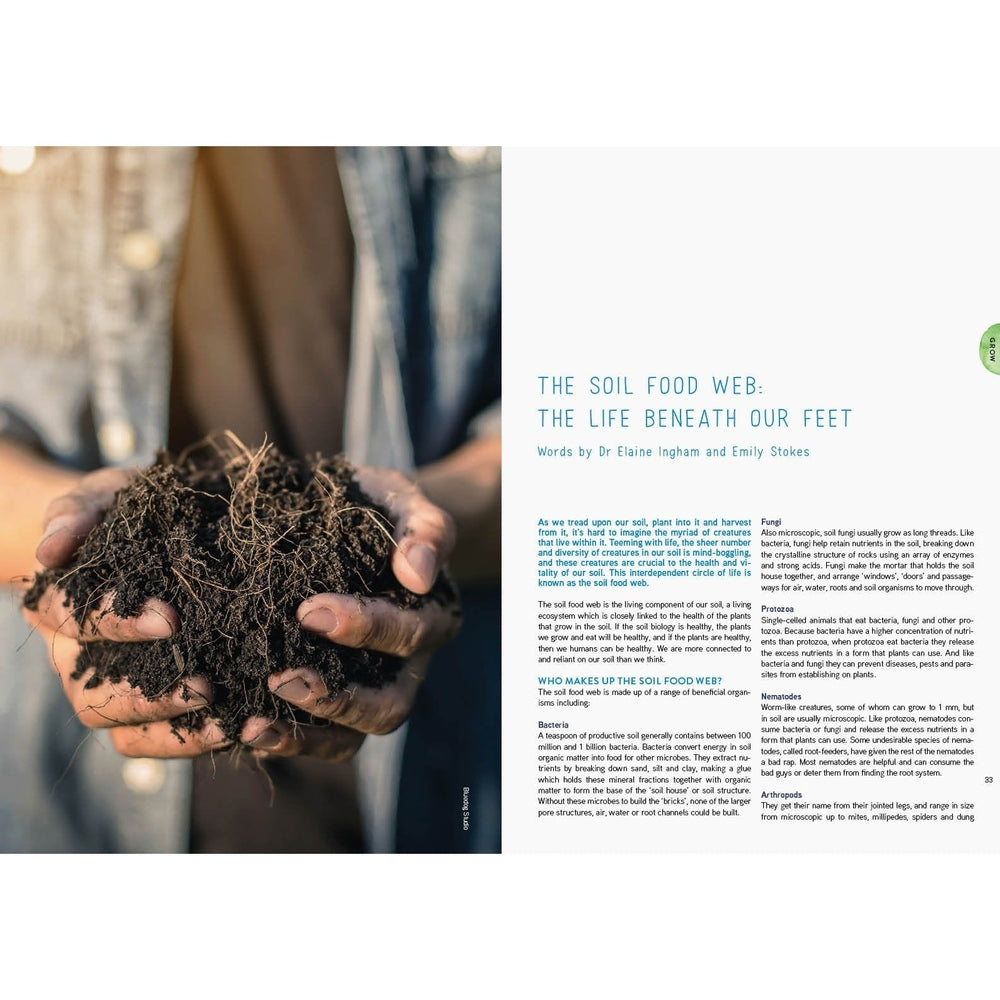 Pip Magazine - Issue 12 - The Microscopic Issue