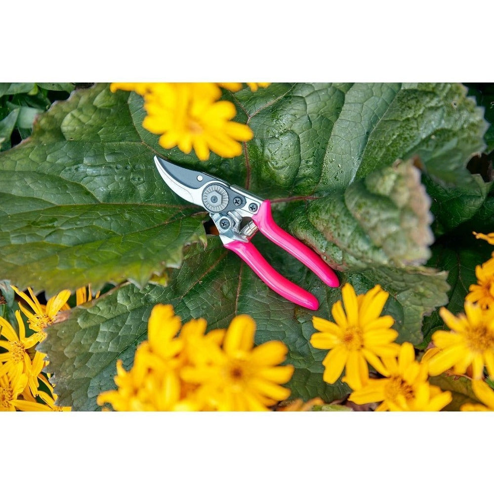 Florabrite Pocket Pruners from Burgon & Ball, with Flowers and Foliage