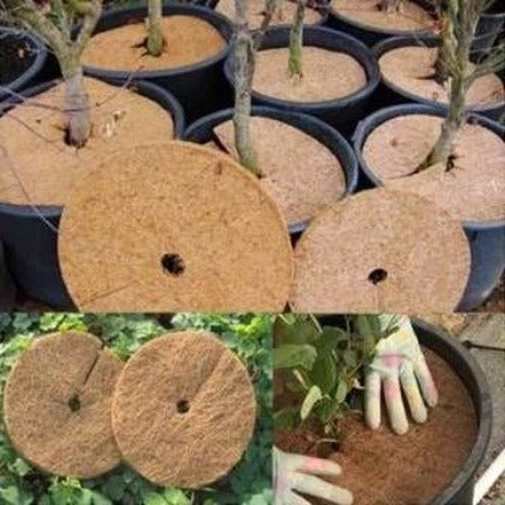 Round Pot Mulch Matting Collage of Uses