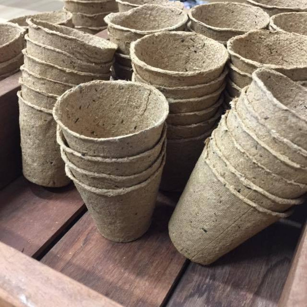 Several Small Stacks of Biodegradable Romberg Propagation Pots