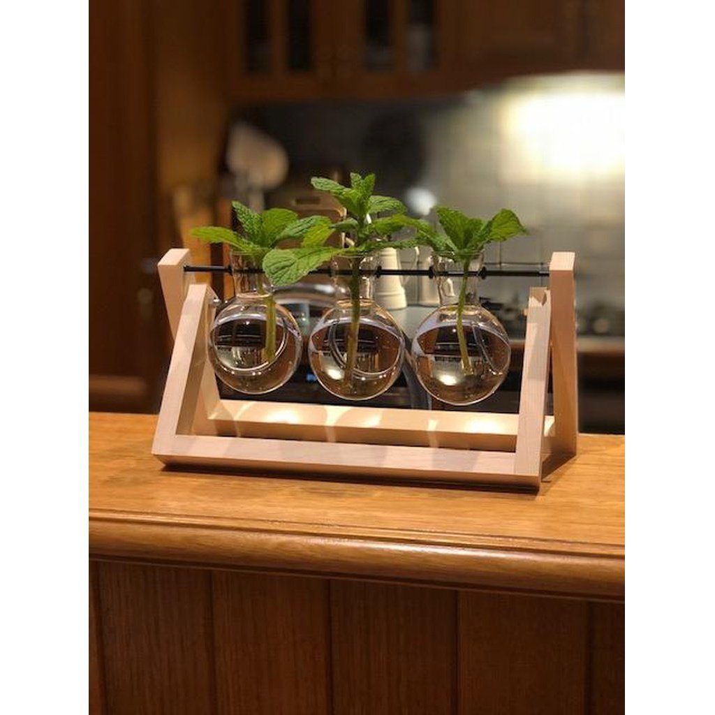 Propagation Station with Mint Cuttings, on Timber Bench