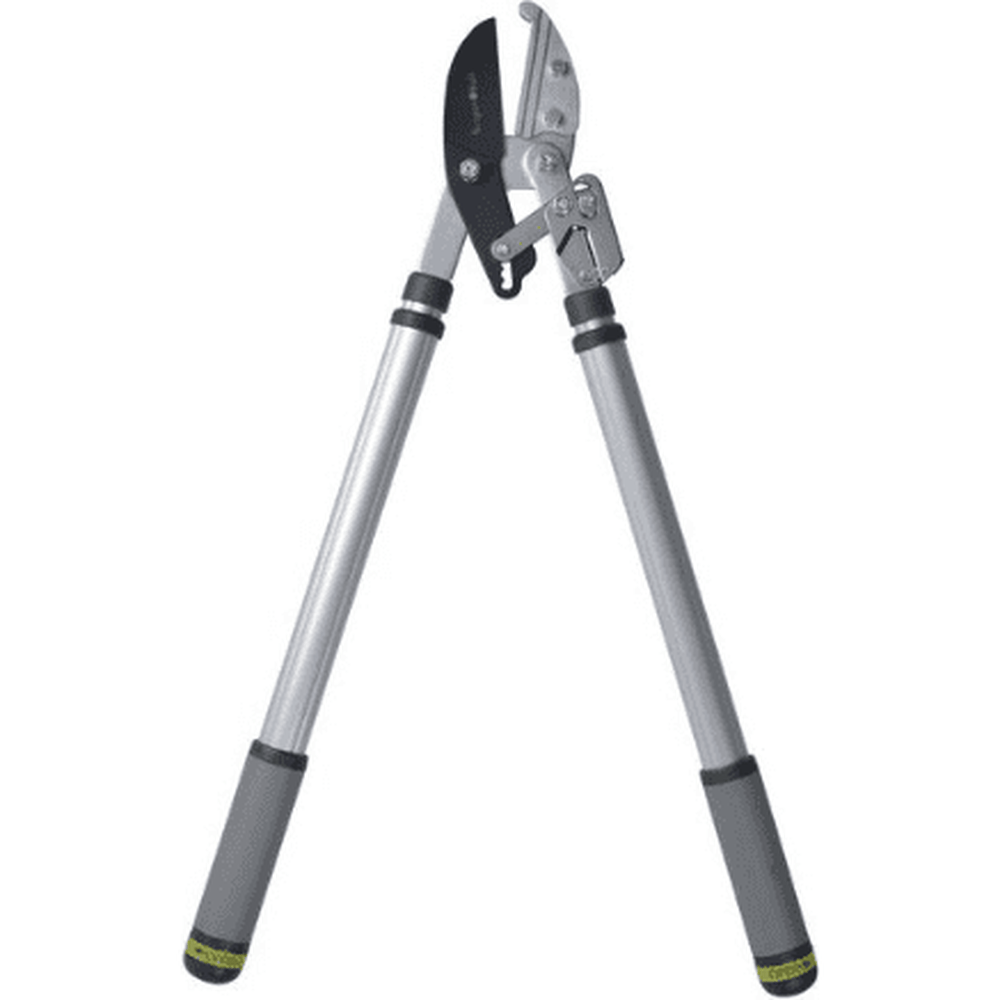 RHS Telescopic Ratchet Lopper