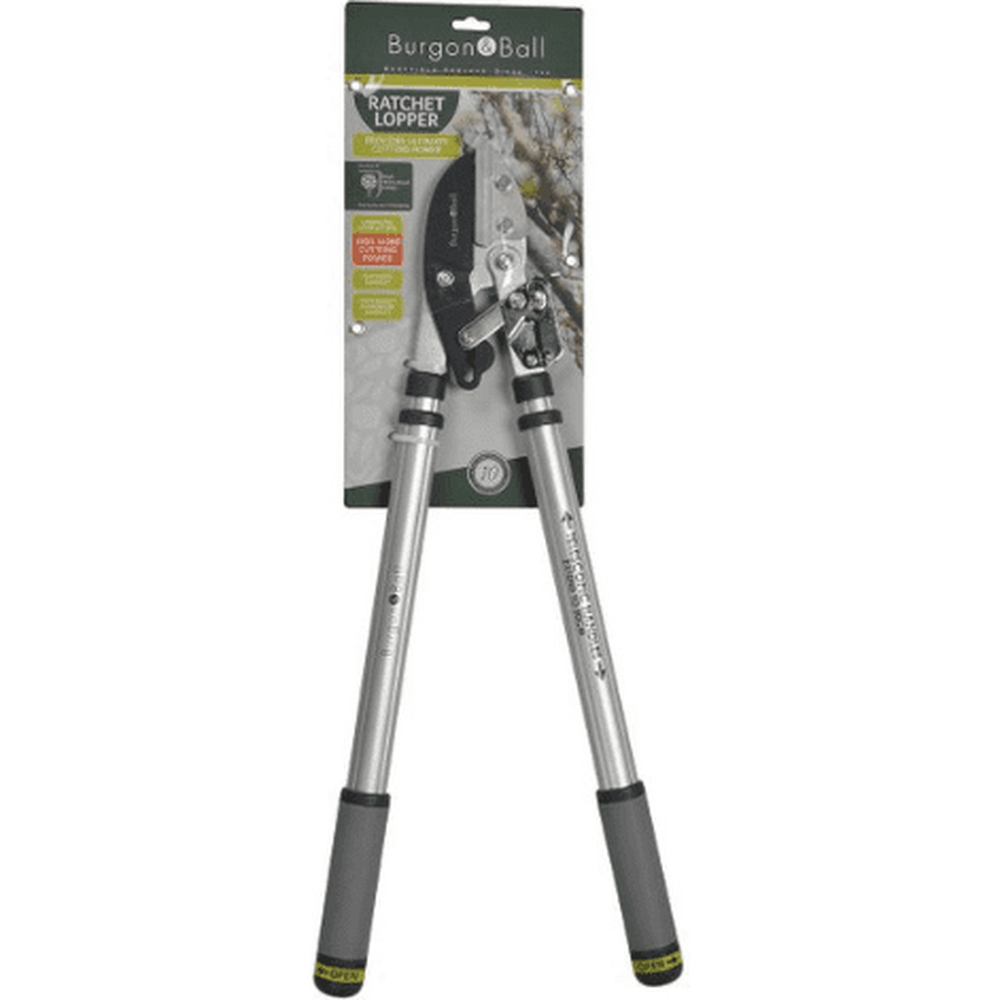 RHS Telescopic Ratchet Lopper