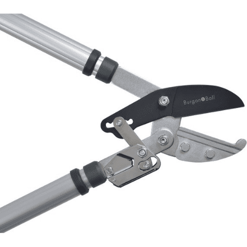 RHS Telescopic Ratchet Lopper