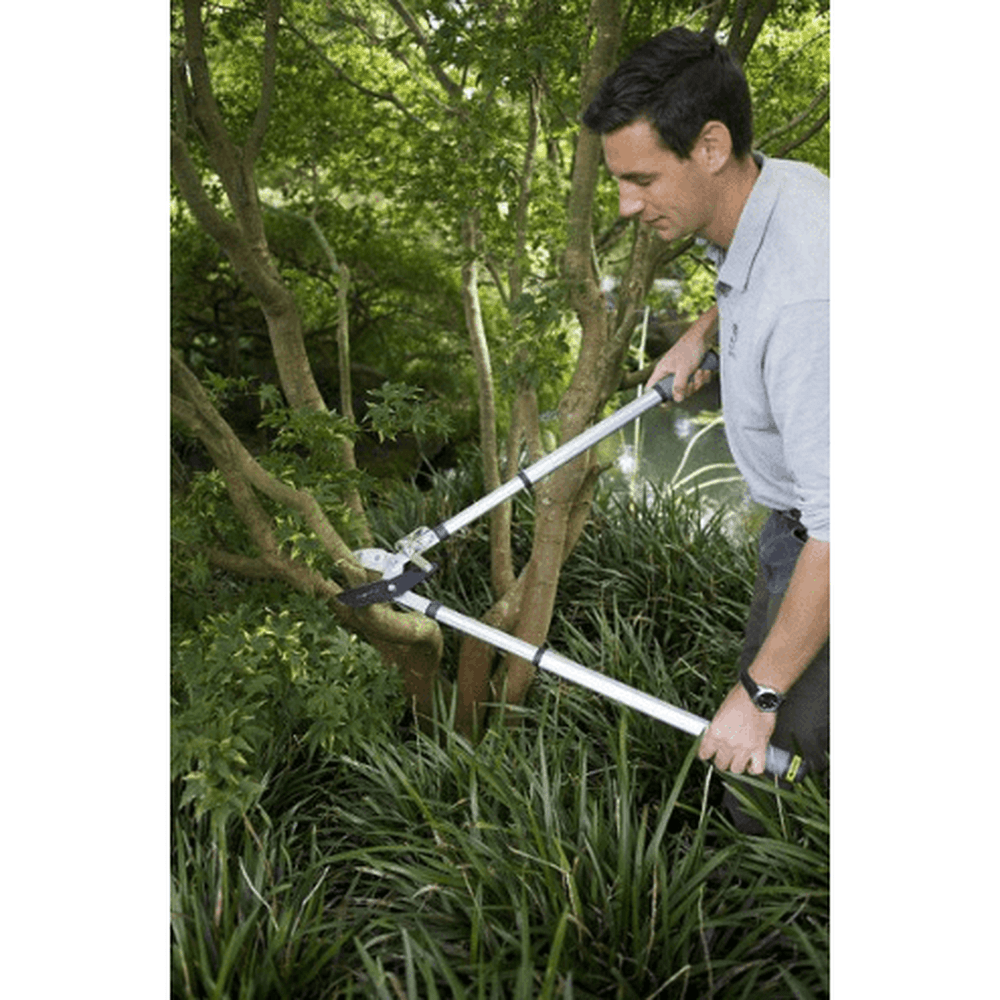 RHS Telescopic Ratchet Lopper