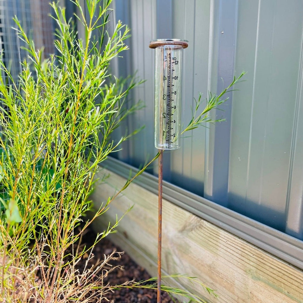 Simple Rust Look Rain Gauge in Garden Bed