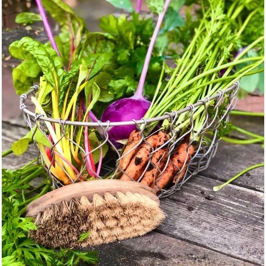 Redecker vegetable brush on a wooden bench with carrots and rainbow chard