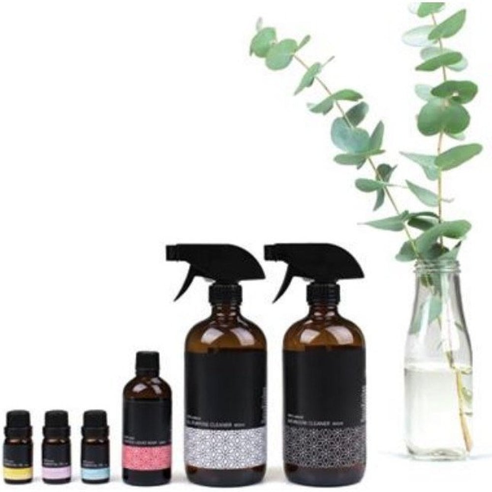 Contents of the Make Your Own All Natural Cleaning Kit from RetroKitchen