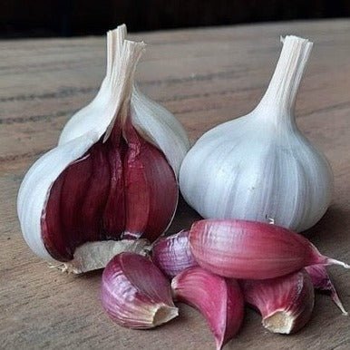 Rojo Garlic Bulbs - Boorara Organics