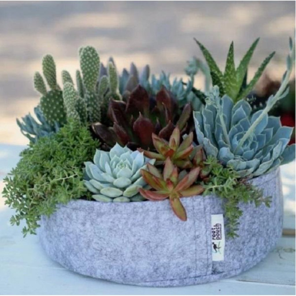 Jill Recycled Plastic Root Pouch Plant Pot in Heather Grey, Planted with Succulents