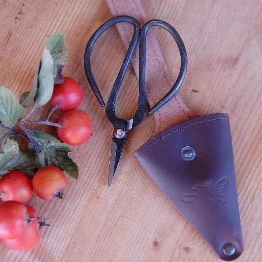 Metal Scissors with Leather Pouch with Cut Fruit, Urban Revolution.