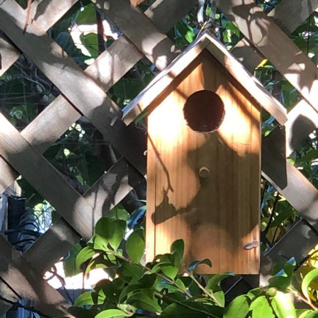 Small Bird Nesting Box Installed in a Garden