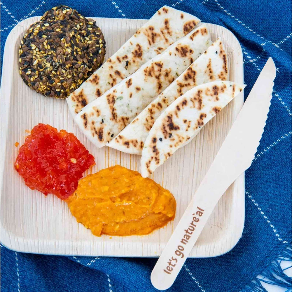 Eco friendly small party plate with dip and crackers