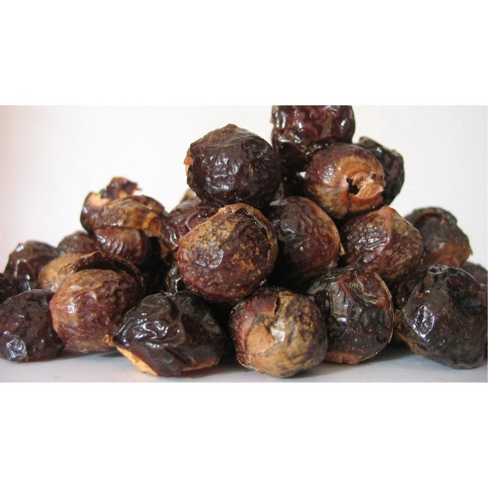 Soap Nuts (Berries) In Bulk - Per 100 Grams