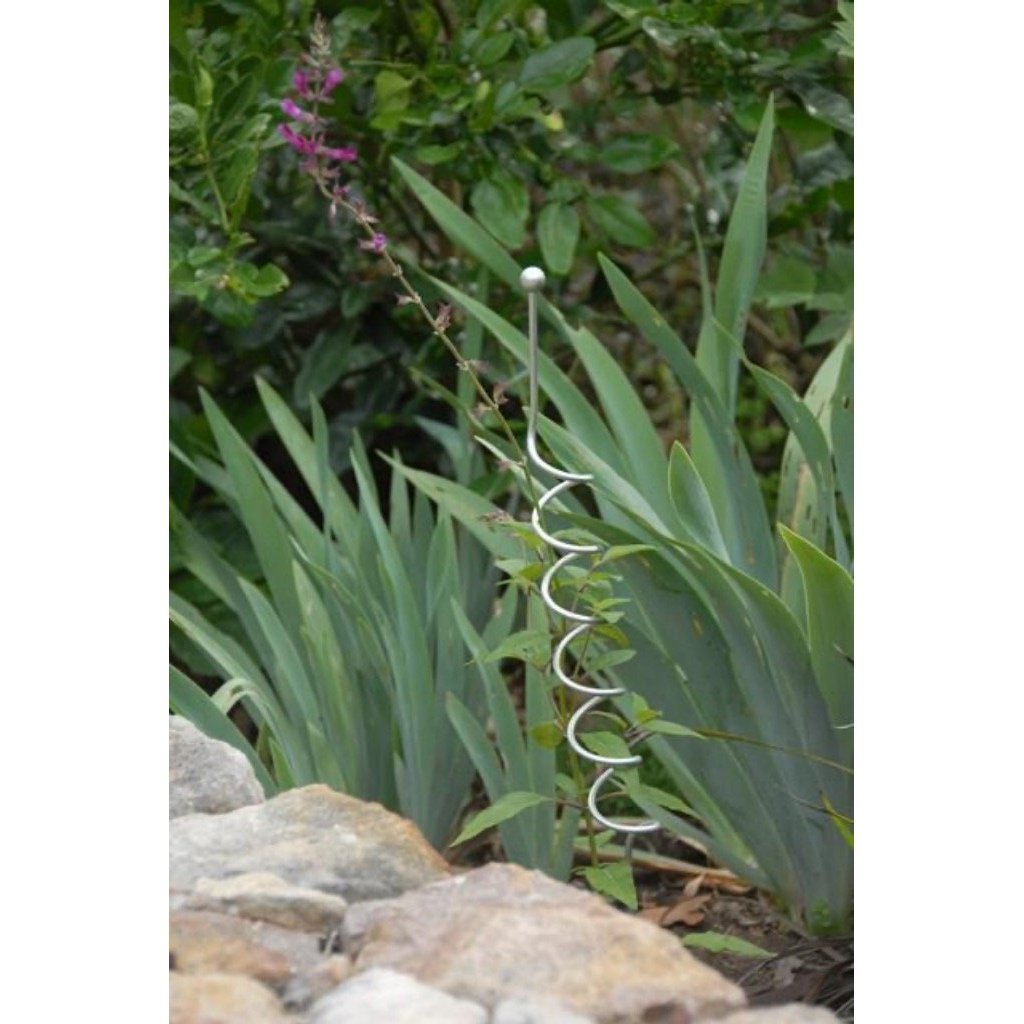 Spiral Metal Plant Support from Heaven In Earth, In Use in a Garden Bed
