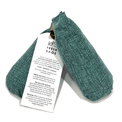 Pair of Charcoal Natural Shoe Absorbers - Teal