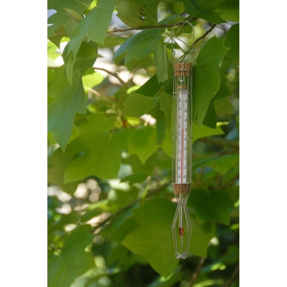 Thermometer in a Cage, Hanging in a Tree