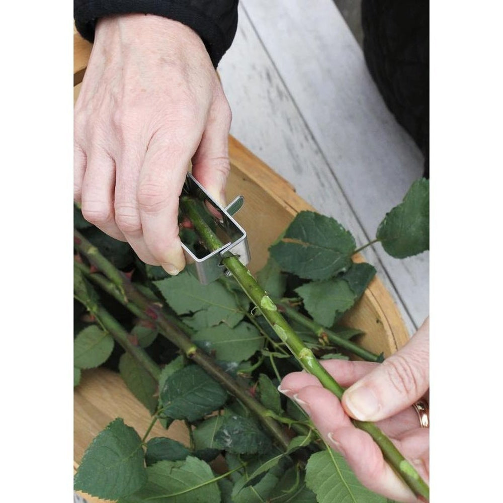 Burgon &amp; Ball - Thorn Stripper