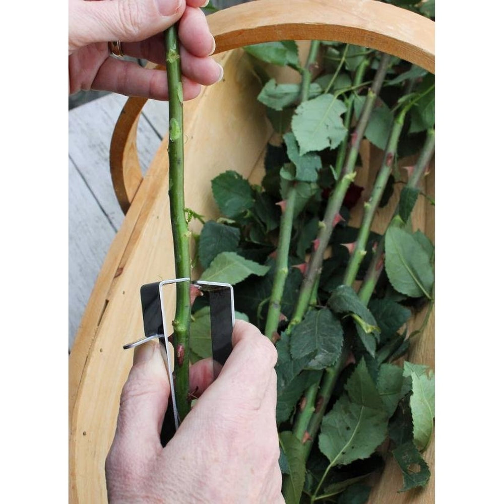 Burgon &amp; Ball - Thorn Stripper
