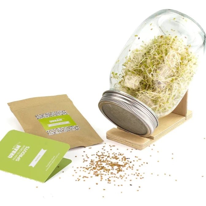 Alfalfa Sprouts Jar Kit from Urban Greens - Inverted on Timber Stand