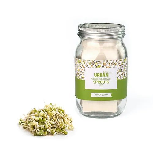 Mung Bean Sprouts Jar Kit from Urban Greens
