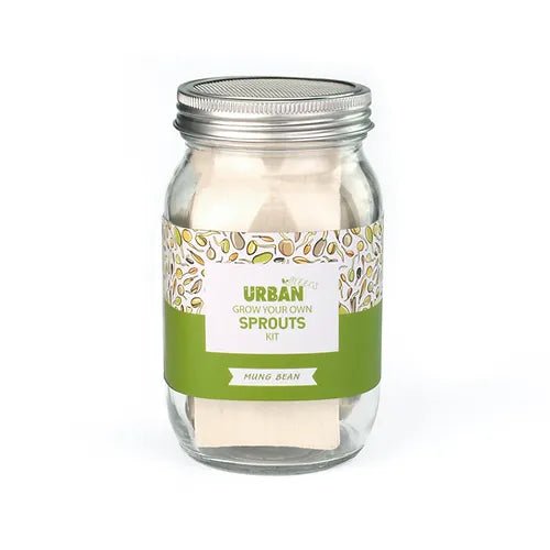 Mung Bean Sprouts Jar Kit from Urban Greens