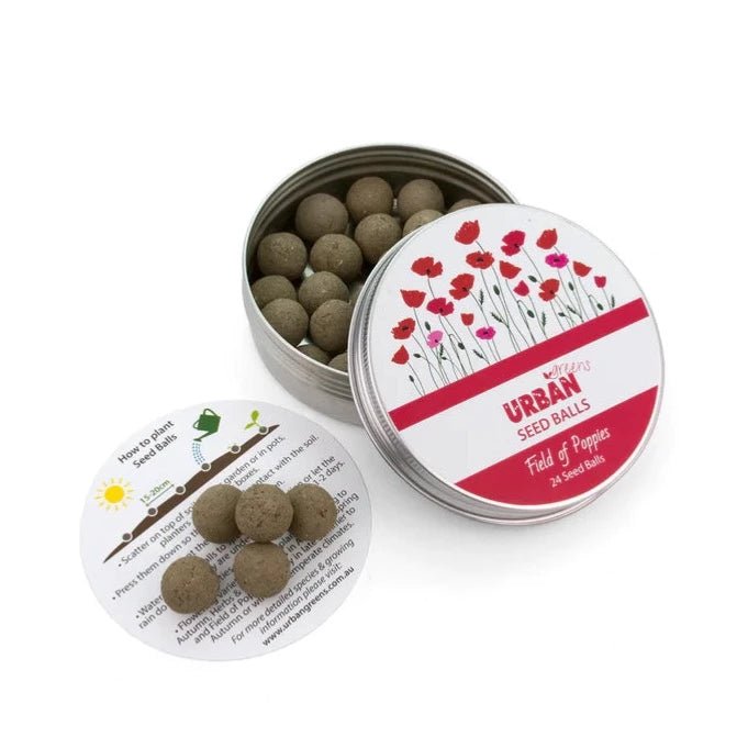 Urban Greens Seed Balls in Open Metal Tin with Instructions - Field of Poppies